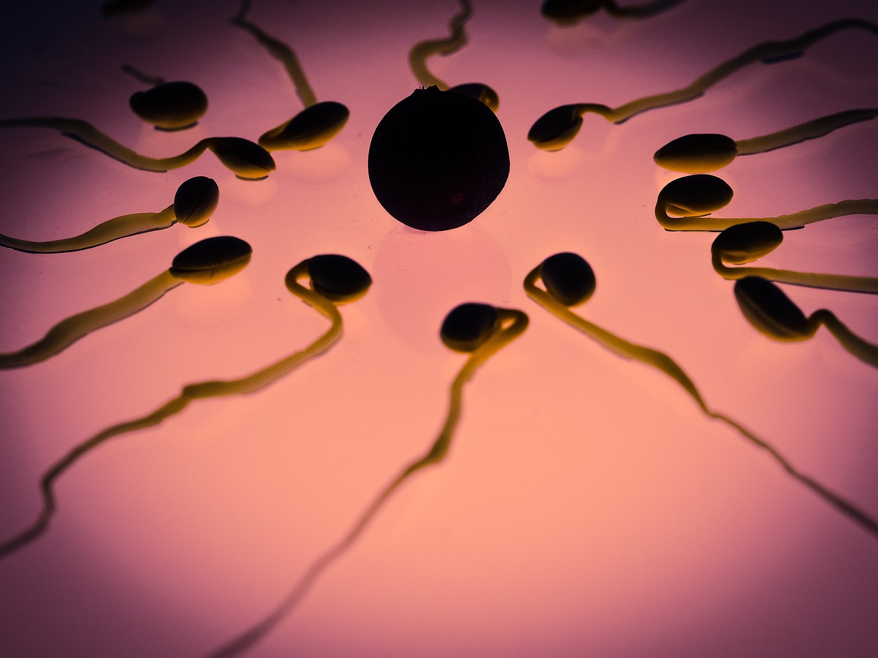 Sex on Your Period