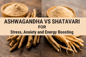 Ashwagandha Vs Shatavari for Stress, Anxiety, and Energy Boosting